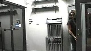 Busty friends sucking me - porn video