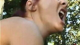 Barnyard Animals - porn video