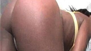 Ebony Babe Strips And Sucks - porn video